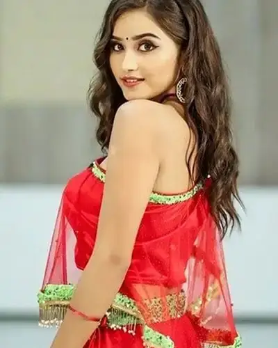 Call Girls Service Tirthahalli